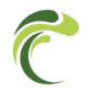 Conta Verde